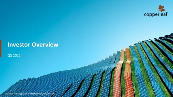 Investor Overview - Page 1