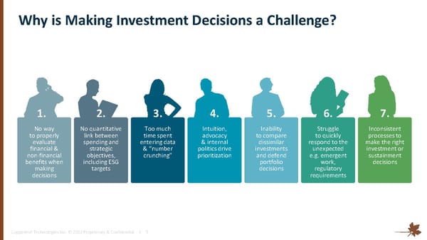 Investor Overview - Page 5
