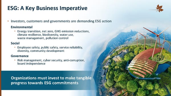 Investor Overview - Page 6