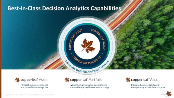 Investor Overview - Page 8