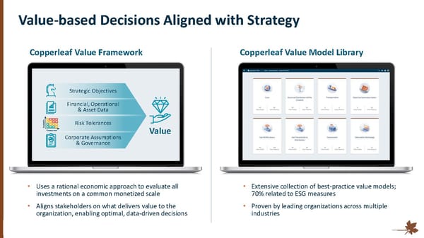 Investor Overview - Page 9