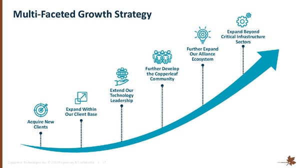Investor Overview - Page 17