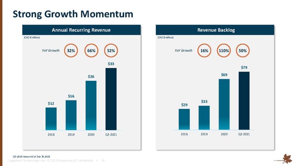 Investor Overview - Page 20