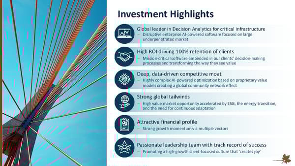 Investor Overview - Page 21