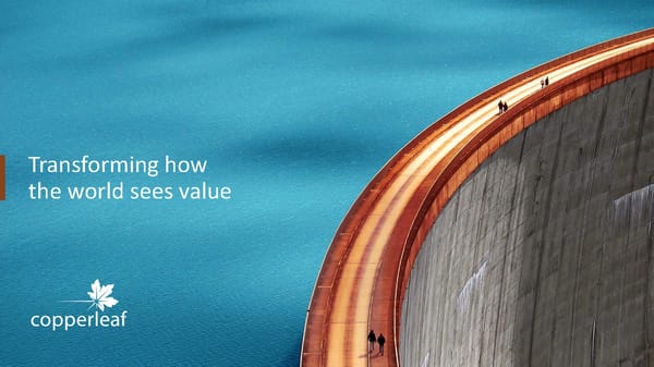 Investor Overview - Page 22